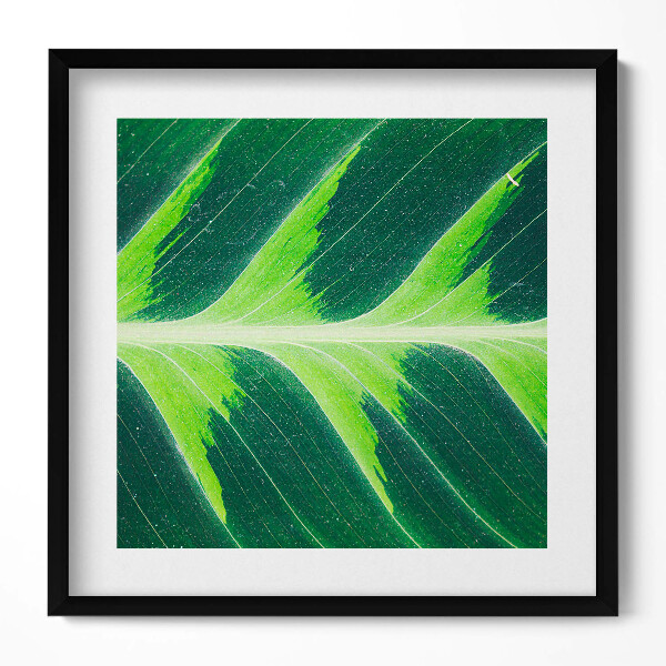 Keretezett falikép Zöld levél részlete