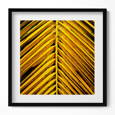 Keretezett falikép Sárga pálmalevél mintázata