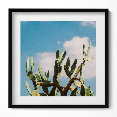 Keretezett falikép Kaktuszok kék égen