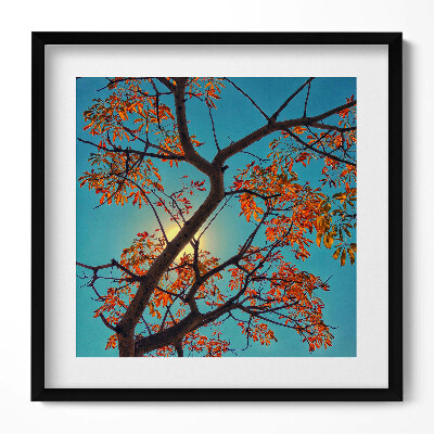 Keretezett falikép Őszi falevelek és napfény