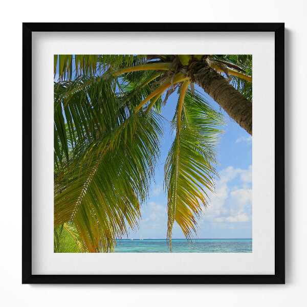 Keretezett falikép Trópusi tengerpart pálmafával