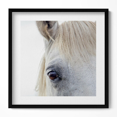 Keretezett falikép Fehér ló szeme és fül