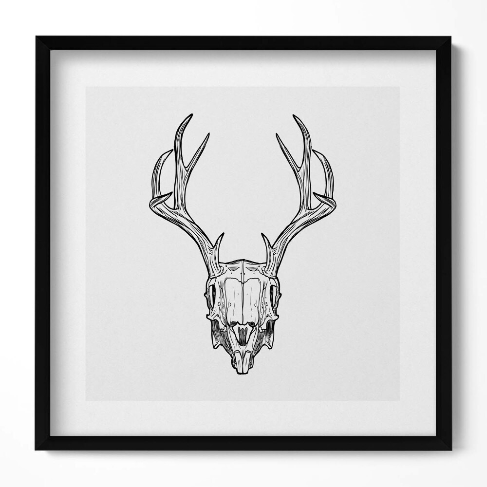 Keretezett falikép Szarvas koponya antlers