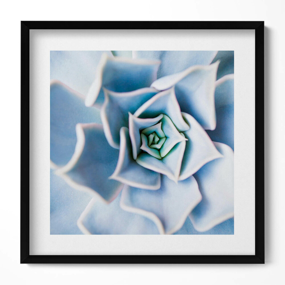 Keretezett falikép Kék színű spirálisan elrendezett virág