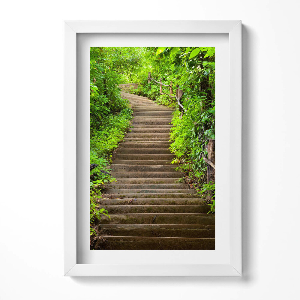 Keretezett kép Zöldellő lépcsősor természetben