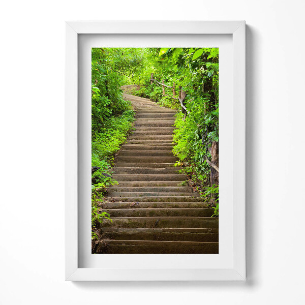 Keretezett kép Zöldellő lépcsősor természetben