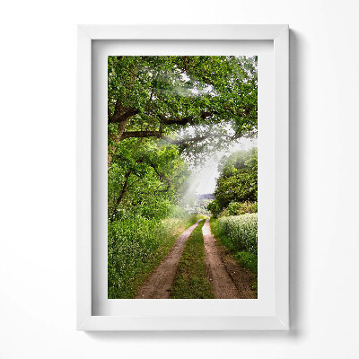 Keretezett kép Zöld dombos táj keskeny ösvény