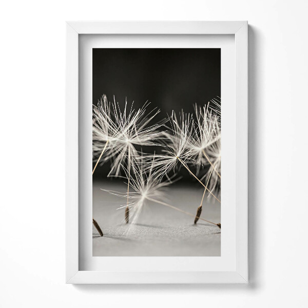 Keretezett kép Pillecukor virágok közelről