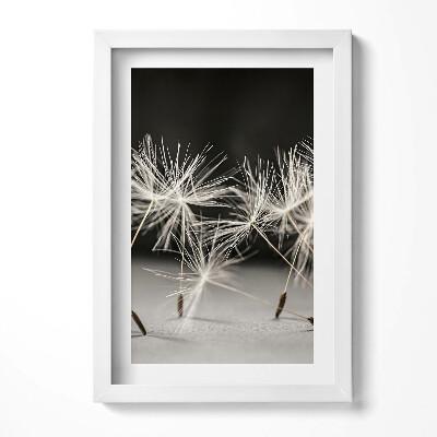 Keretezett kép Pillecukor virágok közelről