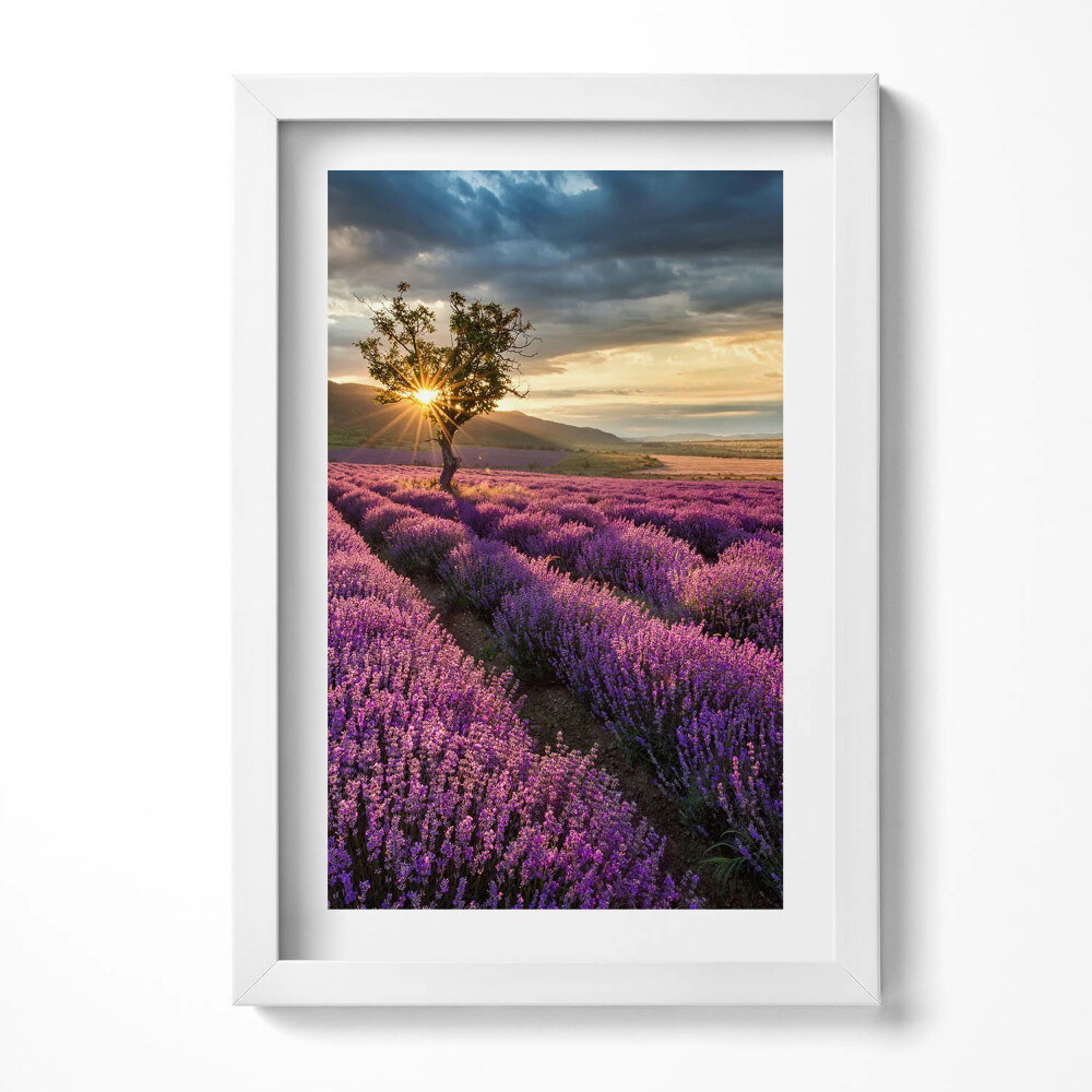 Keretezett kép Levendulamező naplementében