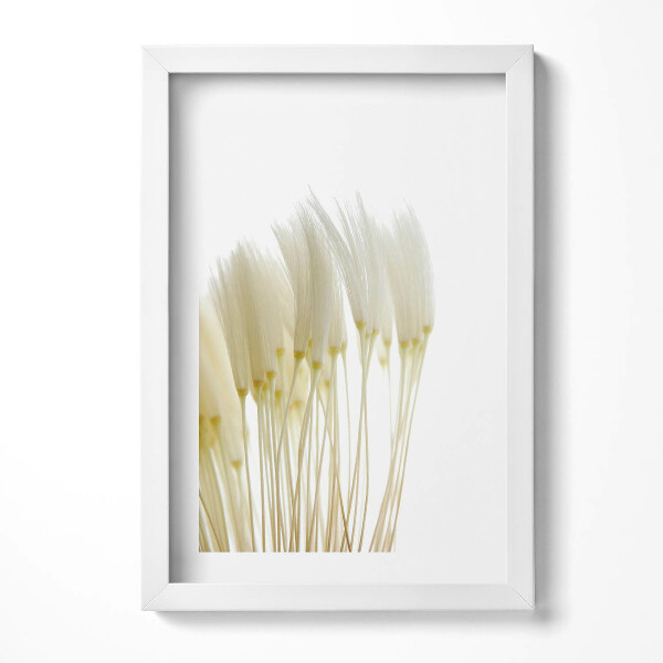 Keretezett kép Fehér virágok csoportja