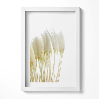 Keretezett kép Fehér virágok csoportja