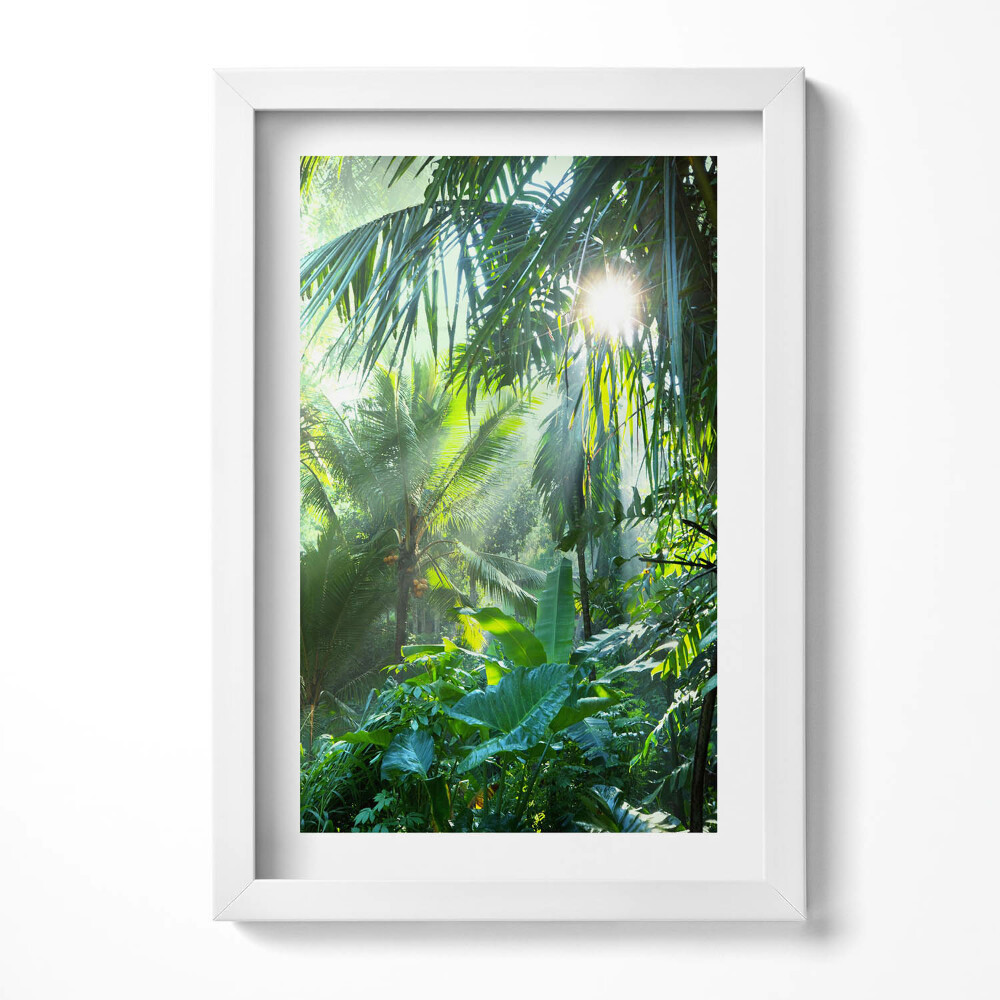 Keretezett kép Zöld trópusi növényzet napfény