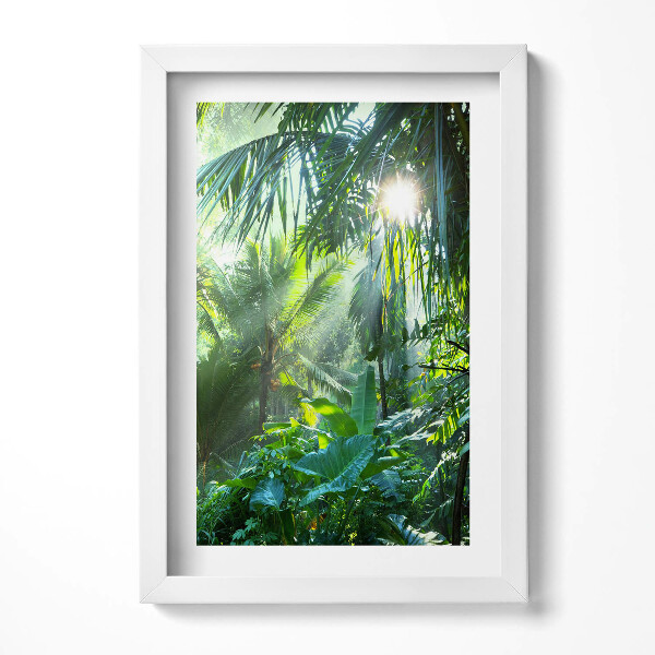 Keretezett kép Zöld trópusi növényzet napfény