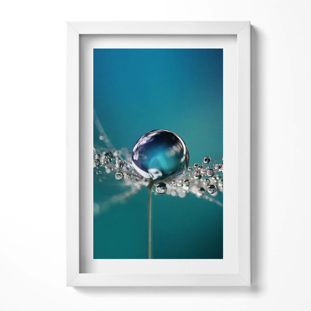 Keretezett kép Vízcsepp és háló