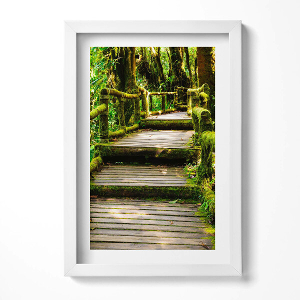 Keretezett kép Zöld erdei ösvény