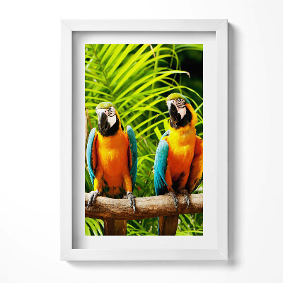 Keretezett kép Két színes papagáj zöld háttér előtt