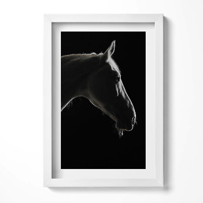 Keretezett kép Fekete háttér előtt lófej profilja