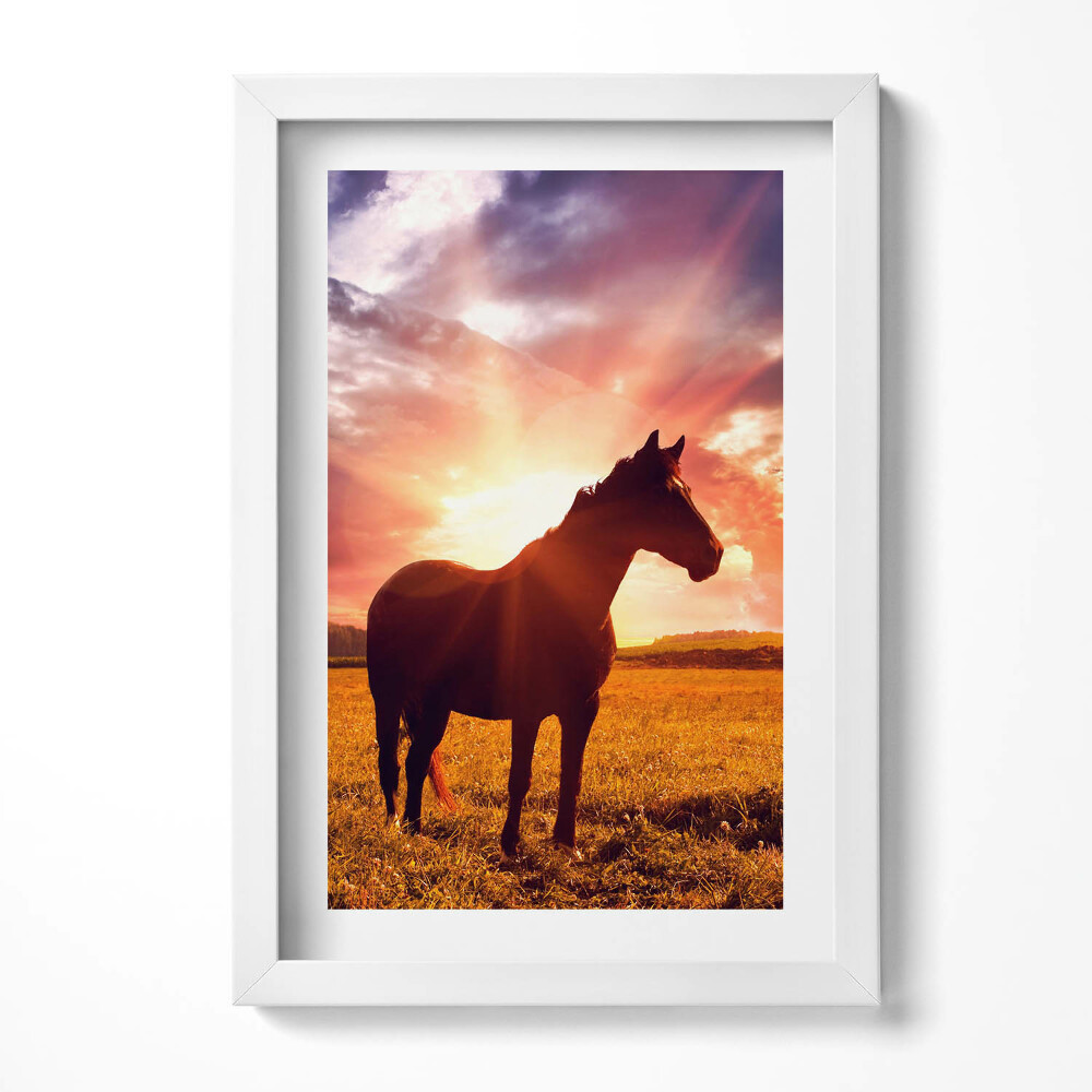Keretezett kép Fekete ló naplementében