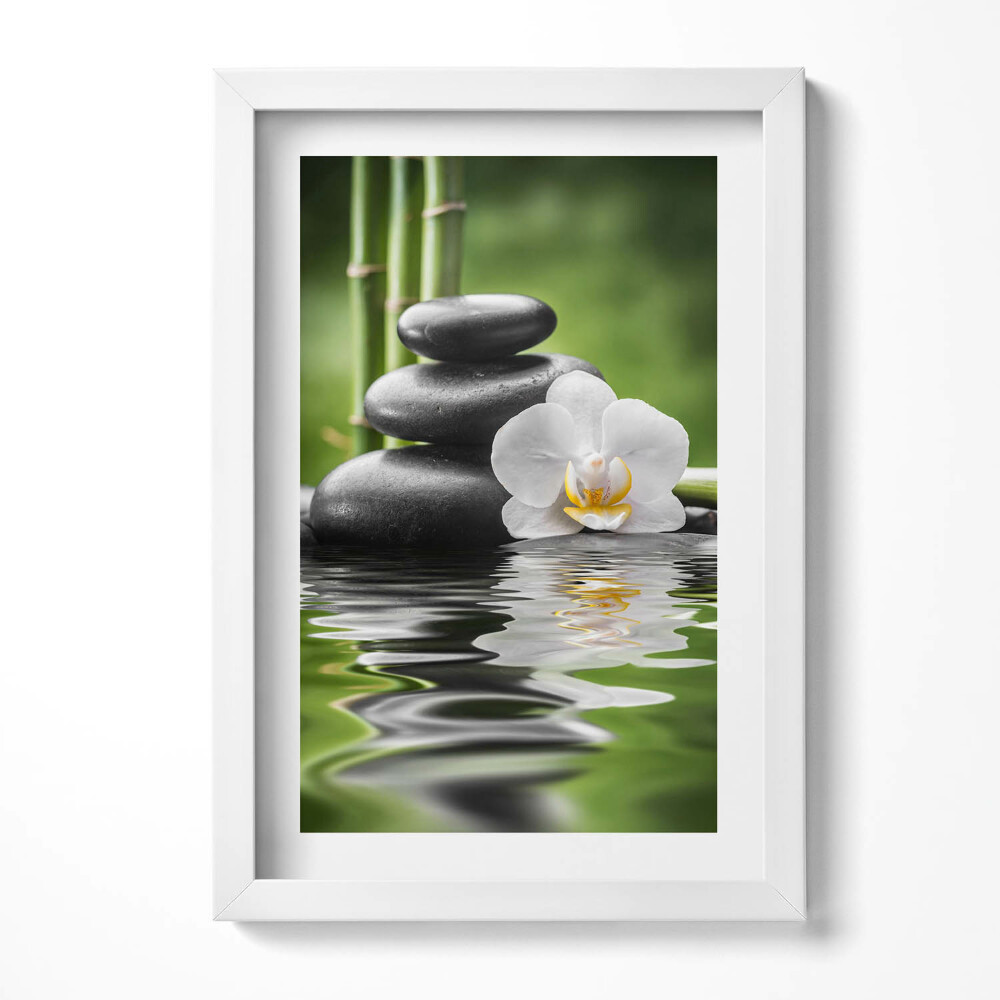 Keretezett kép Kavicsok víz virág