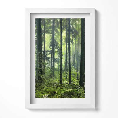 Keretezett kép Zöld erdő ködben