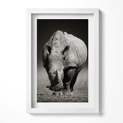 Keretezett kép Egy orrszarvú fekete-fehér festménye