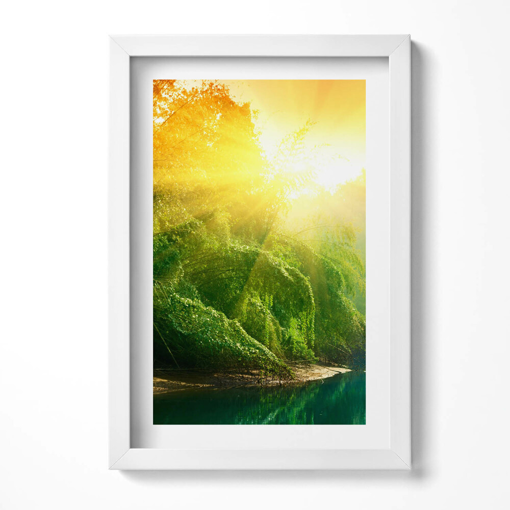 Keretezett kép Napfényes erdei táj