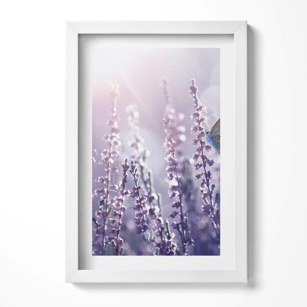 Keretezett kép Lila virágok és pillangó