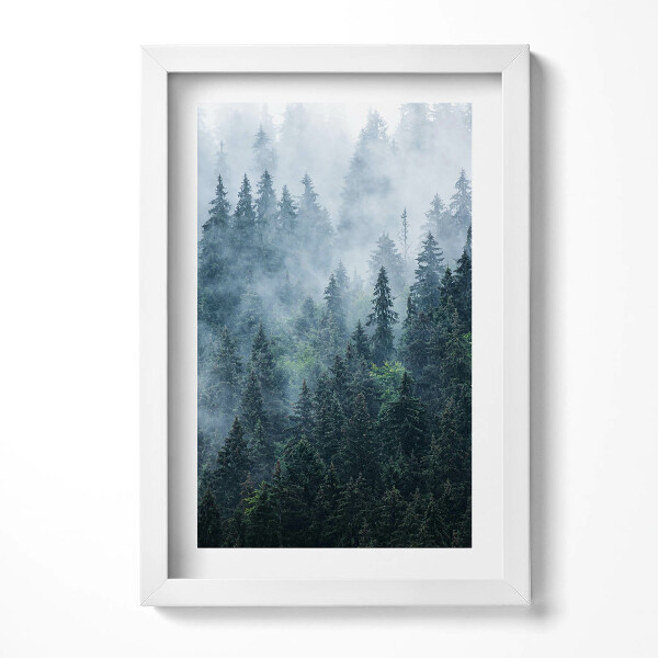 Keretezett kép Füves ködös erdő