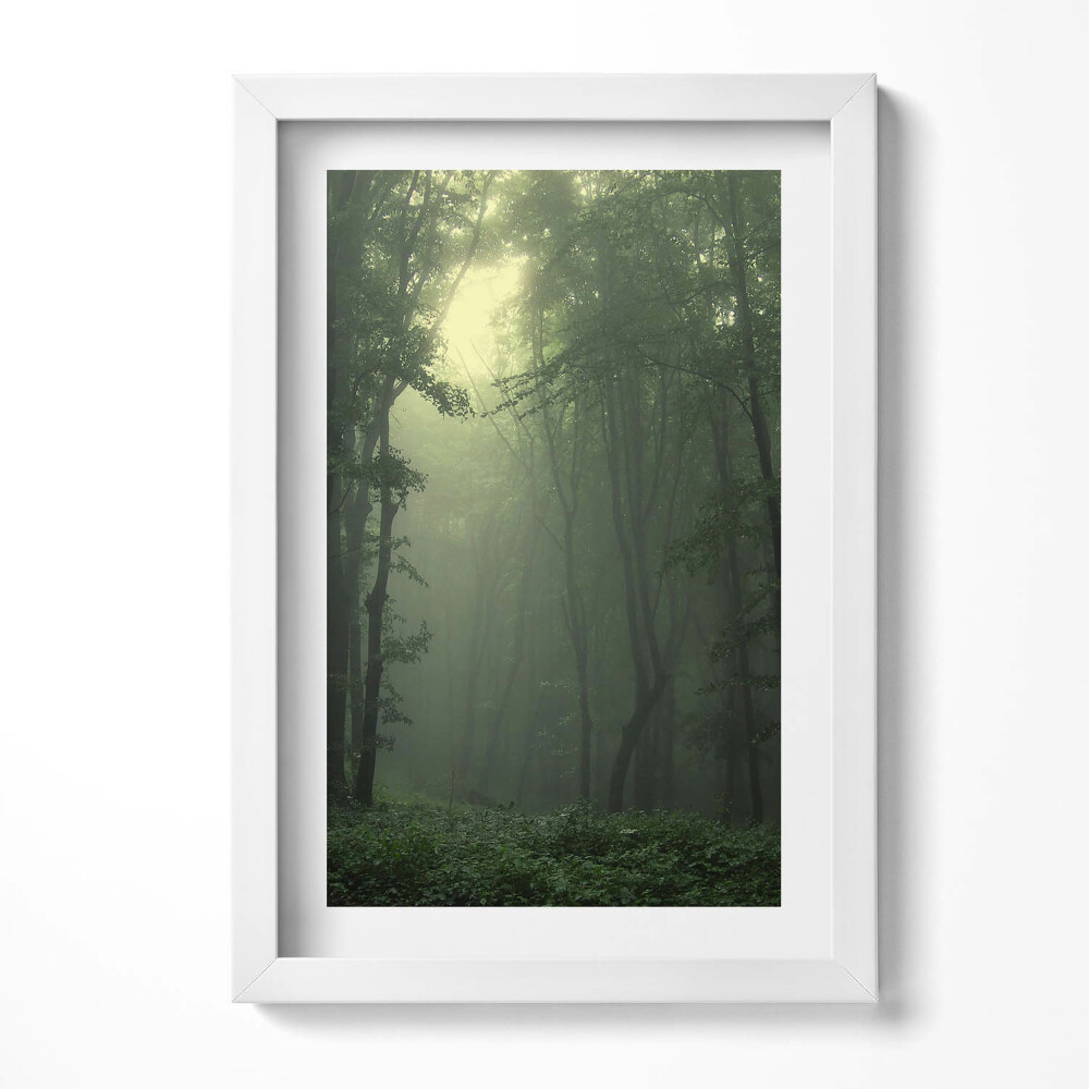 Keretezett kép Zöld erdő ködben
