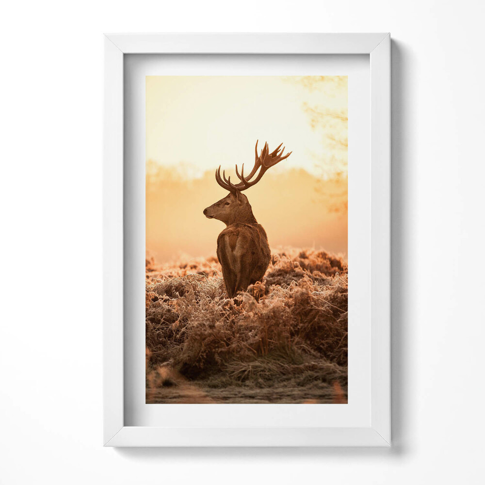 Keretezett kép Szarvas naplementében