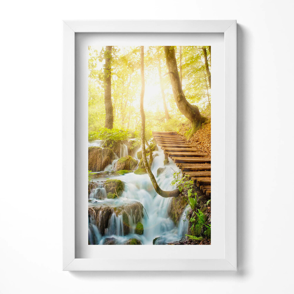 Keretezett kép Zöld erdő vízesés fák