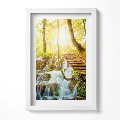 Keretezett kép Zöld erdő vízesés fák