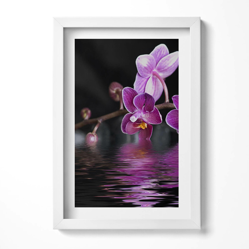 Keretezett kép Lila orchidea víz tükröződésével