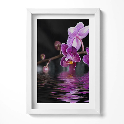 Keretezett kép Lila orchidea víz tükröződésével