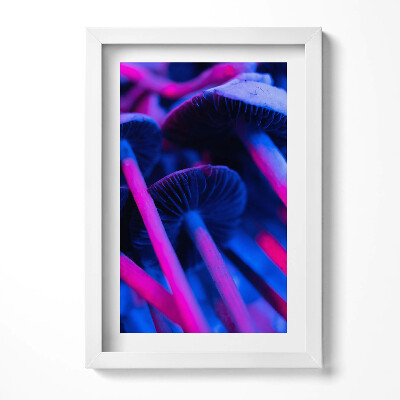 Keretezett kép Fényes gombák élénk színek