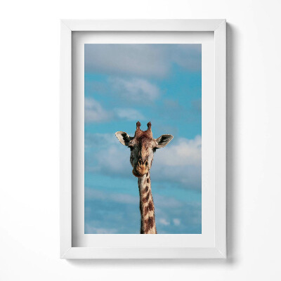 Keretezett kép Zsiráf arcképe kék háttérrel