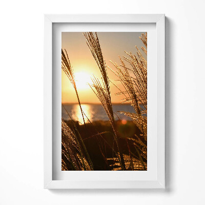 Keretezett kép Naplemente fűvel a vízparton