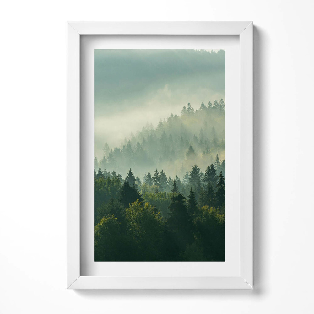 Keretezett kép Ködös erdő táj