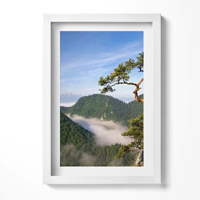 Keretezett kép Hegyek és fák ködben