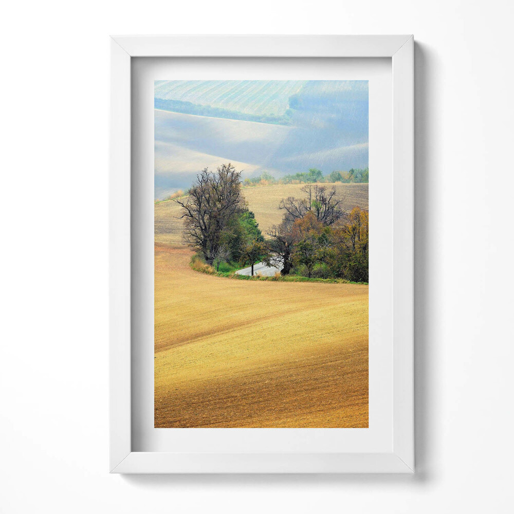 Keretezett kép Tavaszi táj fák és vízpart