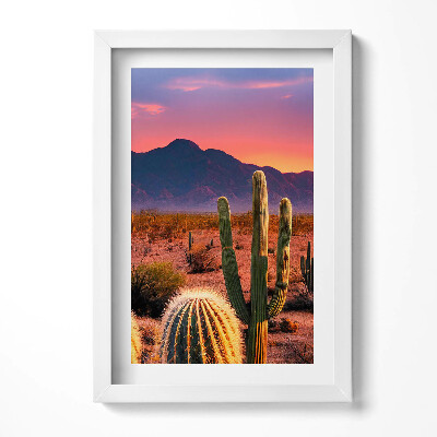 Keretezett kép Sivatagi táj kaktuszok naplemente