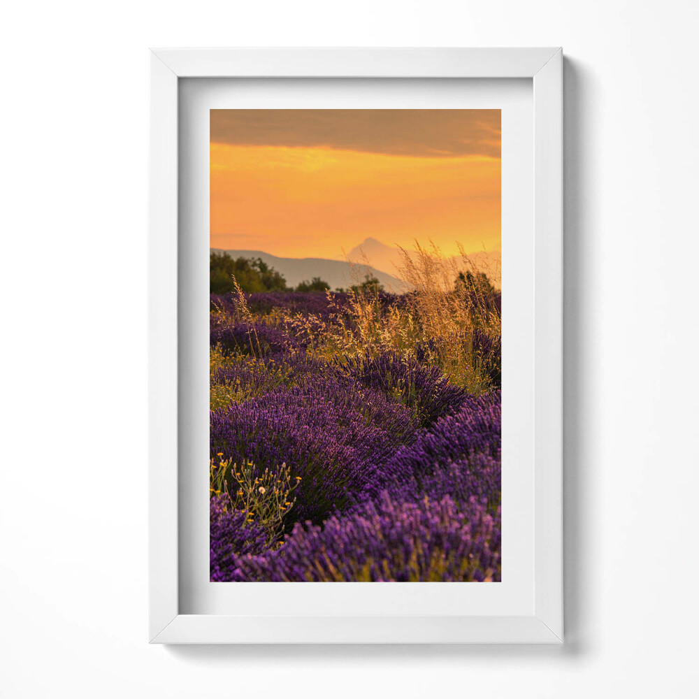 Keretezett kép Levendulamező naplementében