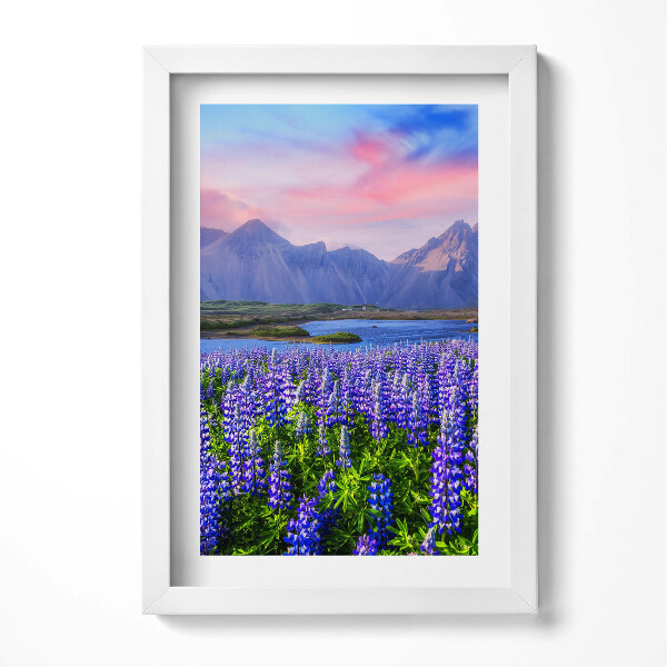 Keretezett kép Lepkék és hegyek virágzó mezője