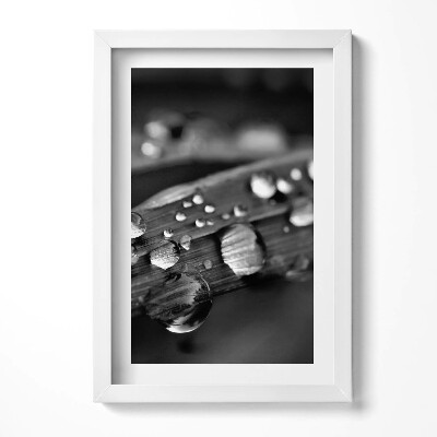 Keretezett kép Esőcseppek egy levélen