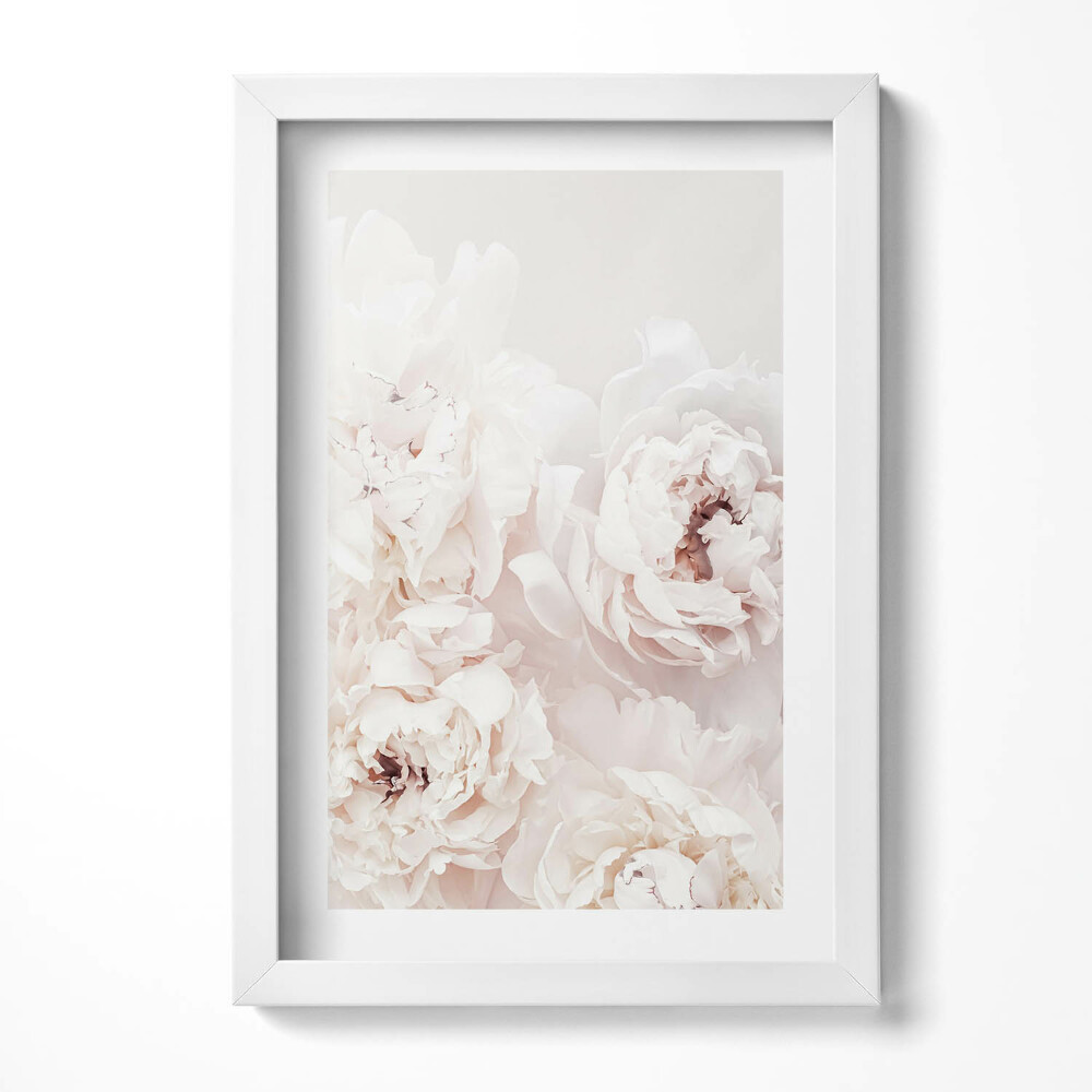 Keretezett kép Rózsaszín virágok közelről