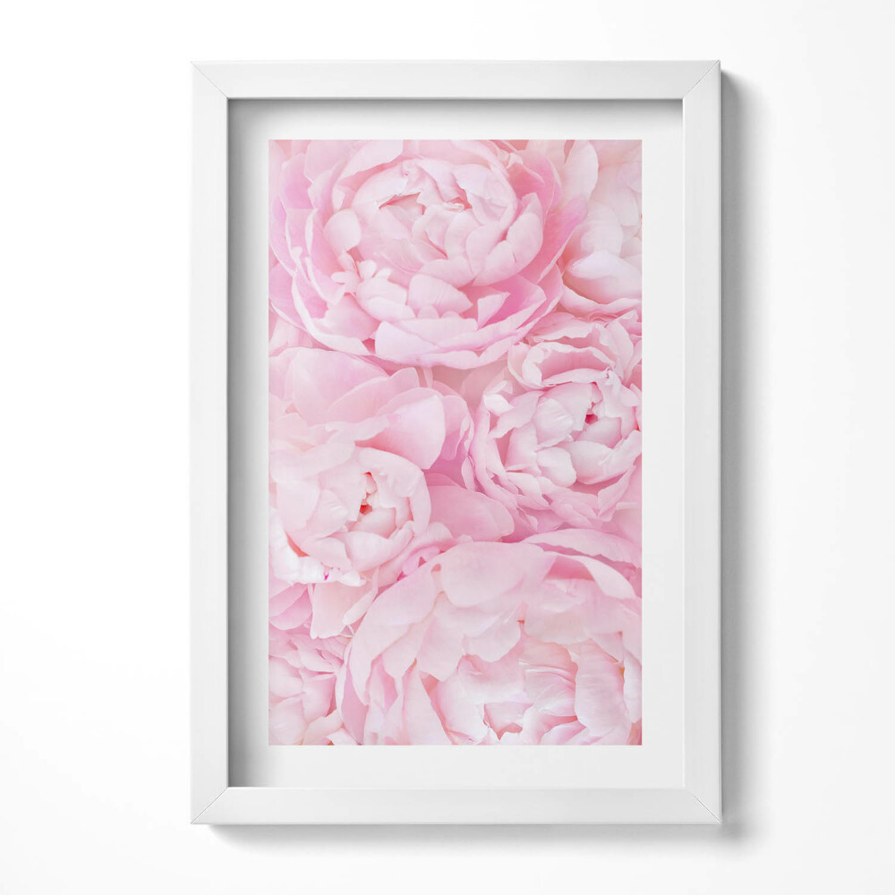 Keretezett kép Rózsaszínű virágok peóniák