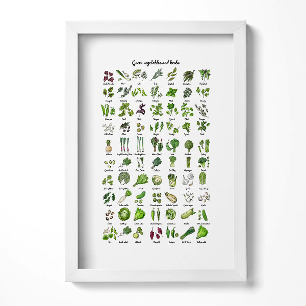 Keretezett kép Zöldségek és gyógynövények illusztrációja