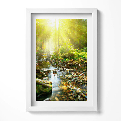 Keretezett kép Zöld erdő napfény patak