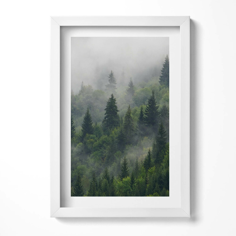 Keretezett kép Zöld erdő ködben